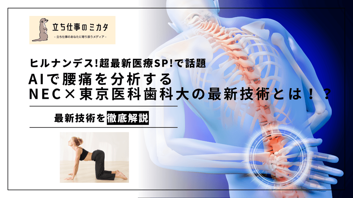 AIで腰痛をセルフケアする時代へ｜姿勢解析技術の仕組みと職場での活用可能性