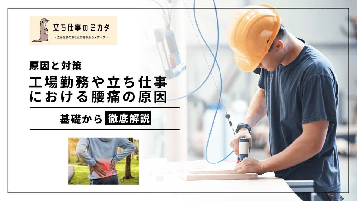 工場勤務の腰痛はなぜ起こる？立ち仕事・重量物作業の原因と現場でできる対策