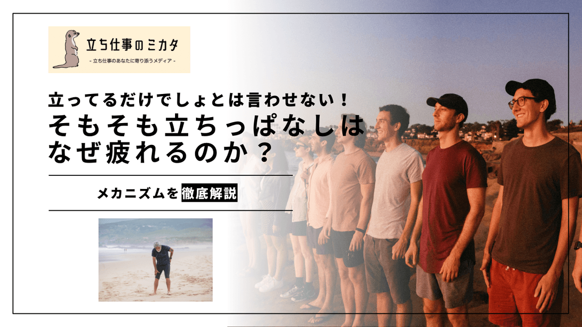 立ちっぱなしはなぜ疲れる？筋肉・血流・関節から解説する立ち仕事の疲労メカニズム